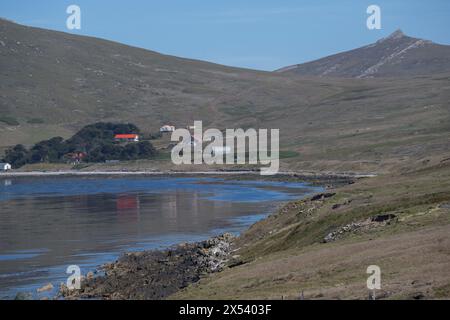 Siedlung auf der Kadaver-Insel Falklands, Januar 2024 Stockfoto