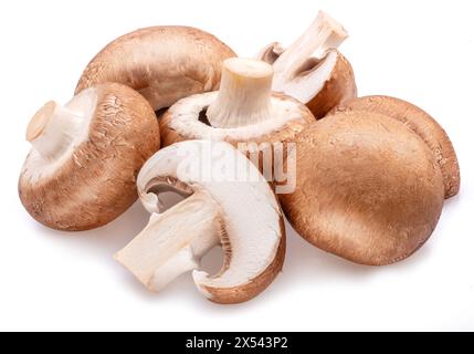 Champignons mit braunem Verschluss oder agaricus-Pilze, isoliert auf weißem Hintergrund. Nahaufnahme. Stockfoto