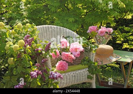 BOTANIK, ADDITIONAL-RIGHTS-CLEARANCE-INFO-NOT-AVAILABLE Stockfoto