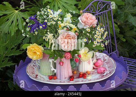 BOTANIK, ADDITIONAL-RIGHTS-CLEARANCE-INFO-NOT-AVAILABLE Stockfoto