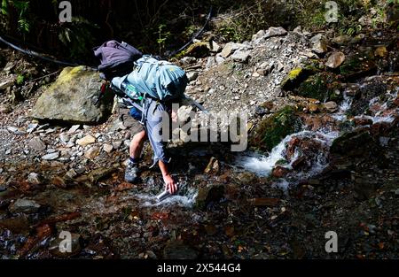 Eine Trinkflasche aus Edelstahl wird mit frischem Wasser aus einem Fluss nachgefüllt Stockfoto