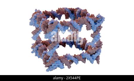 3D-Darstellung der Konstruktion aus DNA eines kovalent geschlossenen würfelförmigen Molekularkomplexes Stockfoto