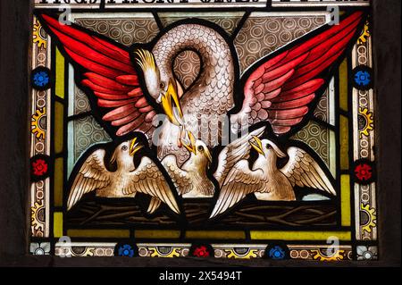 Buntglasfenster mit einem Phönix-Pelican-Hybrid mit feurigen Flügeln, die seine Jungen mit Blut aus der Brust füttern Stockfoto