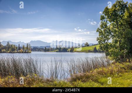 Geographie / Reise, Deutschland, Bayern, Seeg, Schwaltenweiher bei Seeg, East Allgaeu, Bayern, ADDITIONAL-RIGHTS-CLEARANCE-INFO-NOT-AVAILABLE Stockfoto