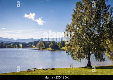 Geographie / Reise, Deutschland, Bayern, Seeg, Schwaltenweiher bei Seeg, East Allgaeu, Bayern, ADDITIONAL-RIGHTS-CLEARANCE-INFO-NOT-AVAILABLE Stockfoto