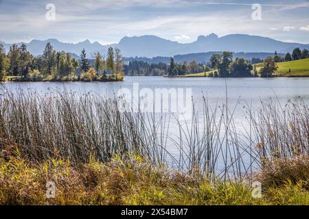 Geographie / Reise, Deutschland, Bayern, Seeg, Schwaltenweiher bei Seeg, East Allgaeu, Bayern, ADDITIONAL-RIGHTS-CLEARANCE-INFO-NOT-AVAILABLE Stockfoto