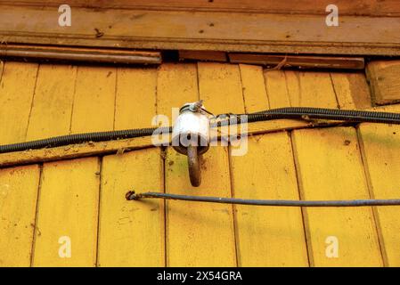 Porzellan-Isolator für Elektrodrähte an einer Holzwand in warmgelber Farbe. Stockfoto