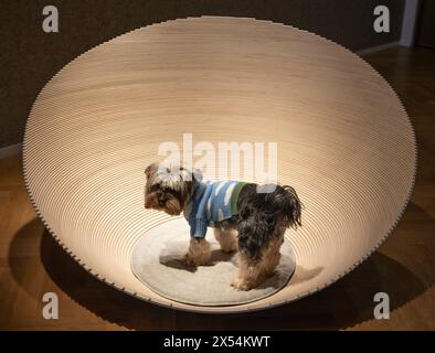 Bonham's, London, Großbritannien. Mai 2024. Highlights des Goodwoof's Barkitecture Kennel Design Competition 2024 in Bonhams, der die Kenels im Auftrag von Goodwoof am 19. Mai 2024 in Goodwood in Chichester versteigert. Barkitecture ist ein einzigartiger Wettbewerb, bei dem Kevin McCloud MBE und der Duke of Richmond das Beste der Kennel-Architektur feiern. Dieses Jahr dreht sich alles um stilvolles Reisen mit dem Titel Lounge Access: For the Jet-Setting Dog, bei dem Theo der Hund die Zwinger ausprobiert. Quelle: Malcolm Park/Alamy Live News Stockfoto