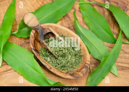 ramson, Buckrams, wilder Knoblauch, breitblättriger Knoblauch, HolzKnoblauch, Bärenlauchblättchen, BärenKnoblauch (Allium ursinum), wilde Knoblauchblätter, frisch und getrocknet auf A Stockfoto