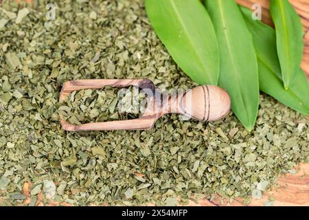 ramson, Buckrams, wilder Knoblauch, breitblättriger Knoblauch, HolzKnoblauch, Bärenlauchblättchen, BärenKnoblauch (Allium ursinum), wilde Knoblauchblätter, frisch und getrocknet auf A Stockfoto