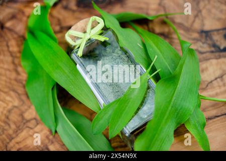 ramson, Buckrams, wilder Knoblauch, breitblättriger Knoblauch, HolzKnoblauch, Bärlauchblättchen, Bärenknoblauch (Allium ursinum), wilde Knoblauchblätter, frisch und getrocknet in A Stockfoto