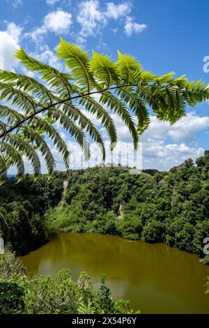 Südlicher Crater Lake, Waimangu Volcanic Valley, Bay of Plenty, Nordinsel, Neuseeland Stockfoto