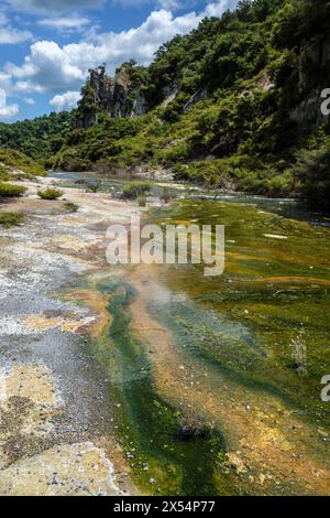 Hot Water Creek, Waimangu Volcanic Valley, Bay of Plenty, Nordinsel, Neuseeland Stockfoto