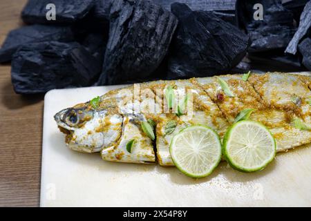 Fisch BBQ. Marinierter Fisch mit Salz Pfeffer, grünem Chili und Kurkumapulver. Holzkohle und Holzkohle im Hintergrund. Zubereitung von Fisch. Stockfoto