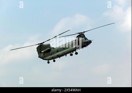 RAF Chinook HC.2 ZH894 nahm an einer taktischen Ausstellung auf der Biggin Hill International Air Fair 2010 Teil Stockfoto