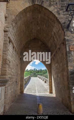 Große romanische Brücke von Puente La Reina, Navarra, Spanien. Zugang zum Bogen von der Stadt Stockfoto