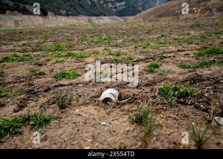 februar, 01 2024 Cercs, Spanien Dürre Barcelona-Baells Stausee Dürre, Fluss Llobregat Foto Eric Renom/LaPresse Stausee Baells, die durch den Fluss Llobregat ernährt wird, ist unter dem Mindestniveau der Tag, an dem Katalonien den Ausnahmezustand aufgrund der Dürre in der Metropolregion Barcelona ausruft und die Nutzung von Wasser oder Duschen in Fitnessstudios einschränkt. Der Fluss Llobregat, der Fluss, der dieses Reservoir speist, ist der am stärksten industrialisierte Fluss Kataloniens, da er das gesamte Industriegebiet rund um Barcelona versorgt und daher für den Betrieb der katalanischen Industrie von Car b aus lebenswichtig ist Stockfoto