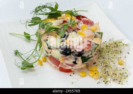 Appetitlicher leichter Salat aus Gemüse und Hühnerstücken mit Kräutern auf weißer Platte auf weißem Hintergrund Stockfoto