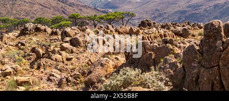 Große gelbe Steine auf den Bergen auf dem Hintergrund von kleinen grünen Bäumen und Bergtal Stockfoto