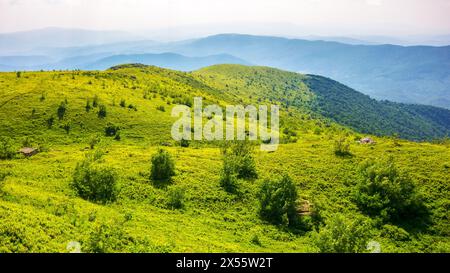 Grasbewachsener alpiner Hügel der karpaten im Abendlicht. Landschaft des ukrainischen Hochlands im Sommer. Landschaft auf dem Berg auch glatt Stockfoto