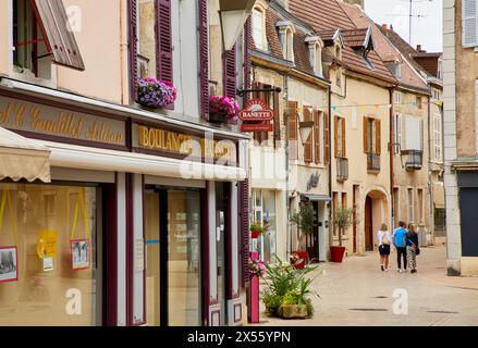 Nuits-Saint-Georges, Côte de Nuits, Côte d'Or, Burgund, Bourgogne, Frankreich, Europa Stockfoto