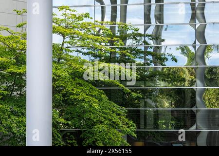 Bäume im Innenhof eines Büro- und Geschäftsgebäudes im Mediapark, Köln. Baeume stehen im Innenhof eines Buero- und Geschaeftsh Stockfoto