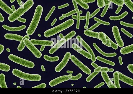 Mikroskopische Darstellung grüner stäbchenförmiger Bakterien auf dunklem Hintergrund zur Veranschaulichung von Mikrobiologie und Infektionskrankheitskonzepten Stockfoto
