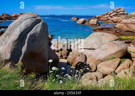 Riesen Felsen an der Côte de Granit Rose, rosa Granit Küste, Ploumanac´h, Perros-Guirec, Bretagne, Bretagne, Frankreich. Stockfoto