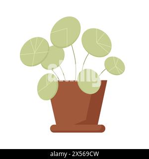 Grüne niedliche Pilea Pflanze im Topf für Haus Gartenarbeit und Florist Hobby, Zimmerpflanze mit runden Blättern Vektor Illustration Stock Vektor