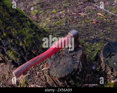 Axt im Baumstumpf. Eine alte rote Axt mit einem roten Griff, der in einem Baumstumpf steckt. Stockfoto
