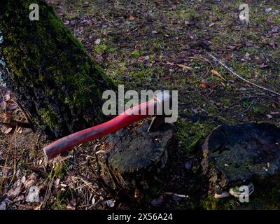 Die touristische rote Axt steckte im Baumstumpf. Ein Pfahl oder eine Axt, die aufrecht in einem Baumstumpf steht. Stockfoto