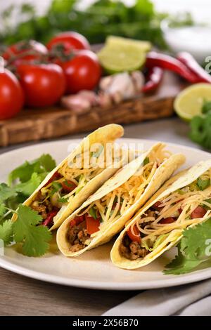 Taco mit Hackfleisch und Avocado, Kohl und Käse. Mexikanische Küche. Stockfoto