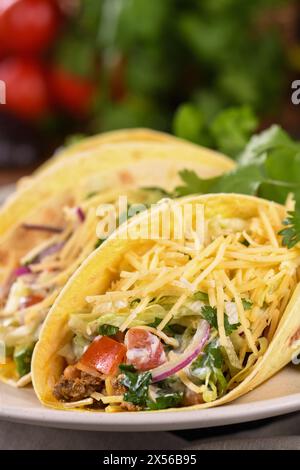 Taco mit Hackfleisch und Avocado, Kohl und Käse. Mexikanische Küche. Nahaufnahme. Stockfoto