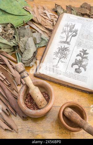 Apothekerwerkstatt / Kräutermedizin-Szene, mit William Salmon's Botanologia [1710] bei Pflanzenholzschnitten geöffnet. Für pflanzliche Heilmittel und Heim-Heilmittel. Stockfoto