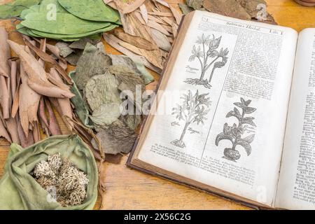 Apothekerwerkstatt / Kräutermedizin-Szene, mit William Salmon's Botanologia [1710] bei Pflanzenholzschnitten geöffnet. Für pflanzliche Heilmittel und Heim-Heilmittel. Stockfoto