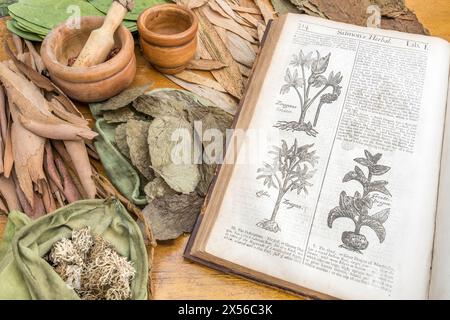 Apothekerwerkstatt / Kräutermedizin-Szene, mit William Salmon's Botanologia [1710] bei Pflanzenholzschnitten geöffnet. Für pflanzliche Heilmittel und Heim-Heilmittel. Stockfoto