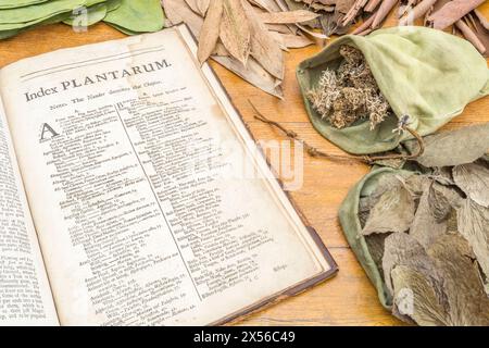 Apothekerwerkstatt / Kräutermedizin-Szene mit William Salmon's Botanologia auf der Index-Seite. Für pflanzliche Heilmittel und Heim-Heilmittel. Stockfoto