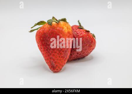 Gesunde köstliche saftige süße brüchige rote Erdbeeren weißer Hintergrund arrangiert Stockfoto