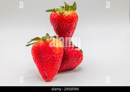 Gesunde köstliche saftige süße brüchige rote Erdbeeren weißer Hintergrund arrangiert Stockfoto