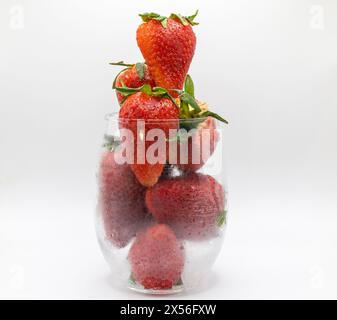 Gesunde köstliche saftige süße brüchige rote Erdbeeren weißer Hintergrund arrangiert Stockfoto