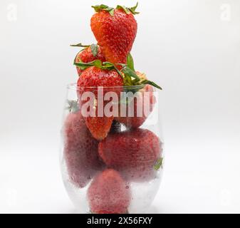 Gesunde köstliche saftige süße brüchige rote Erdbeeren weißer Hintergrund arrangiert Stockfoto