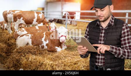 Ein moderner Landwirt, der auf der Viehzucht an seinem digitalen Tablet arbeitet. Stockfoto