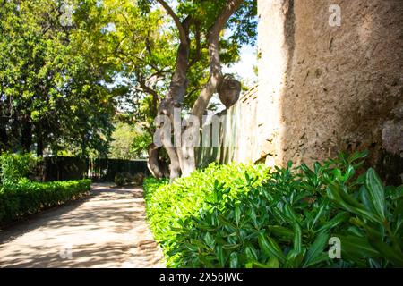 Neoklassizistischer historischer Garten Parc del Laberint d'Horta, Barcelona, Spanien, Nachhaltigkeit, Umweltschutz, Schutz der Artenvielfalt Stockfoto