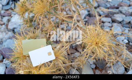 Auf einem trockenen Dornbusch zwischen den Felsen liegen zwei weiße und goldene Bankkarten. Die menschliche Bequemlichkeit wird der Rohheit der Natur gegenübergestellt. Stockfoto