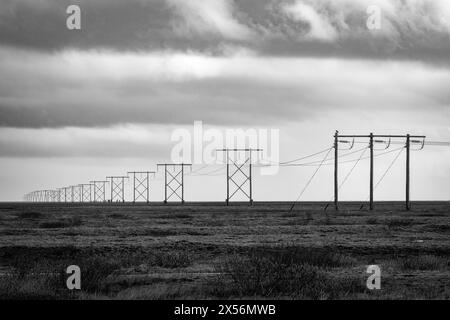 Isländische Stromleitungen erstrecken sich über eine einfarbige Landschaft zum endlosen Ozeanhorizont und vermischen Natur und Infrastruktur. Stockfoto