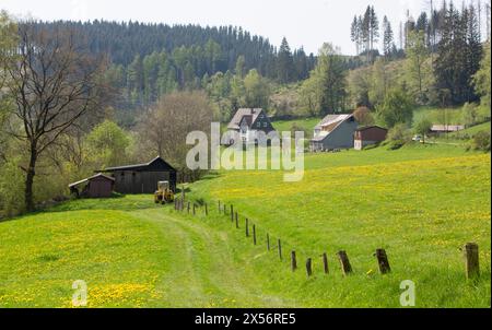 Ländliche Landschaft bei winterberg im deutschen sauerland mit Häusern, Bauernhof und Frühlingsblumen Stockfoto