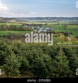 Weiße Häuser im Dorf bei schmallenberg im Frühjahr und die umliegende Landschaft des Sauerlandes in Deutschland Stockfoto