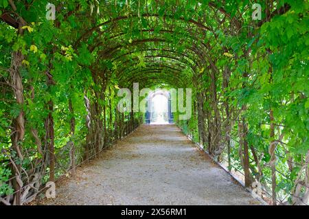 Privy Garden, Schloss Schönbrunn, Wien, Österreich. Stockfoto