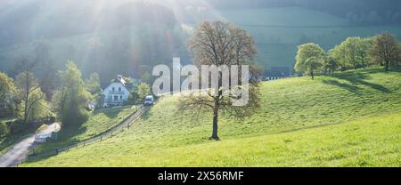 Frischblättrige Bäume und Felder in der Nähe des Dorfes in der wunderschönen sauerland-Landschaft im Frühling in deutschland Stockfoto