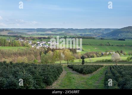 Weiße Häuser im Dorf bei schmallenberg im Frühjahr und die umliegende Landschaft des Sauerlandes in Deutschland Stockfoto